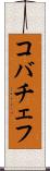 コバチェフ Scroll