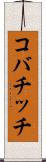 コバチッチ Scroll