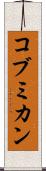 コブミカン Scroll