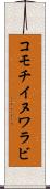 コモチイヌワラビ Scroll