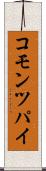 コモン・ツパイ Scroll