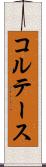 コルテース Scroll