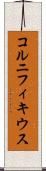 コルニフィキウス Scroll