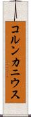 コルンカニウス Scroll