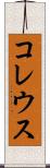 コレウス Scroll