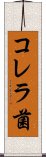 コレラ菌 Scroll