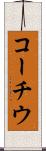 コーチウ Scroll