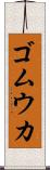 ゴムウカ Scroll