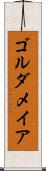 ゴルダメイア Scroll