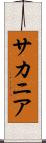 サカニア Scroll