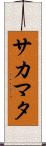 サカマタ Scroll