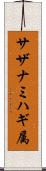 サザナミハギ属 Scroll
