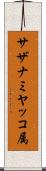 サザナミヤッコ属 Scroll
