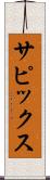 サピックス Scroll