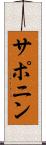 サポニン Scroll