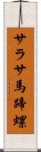 サラサ馬蹄螺 Scroll