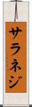サラネジ Scroll