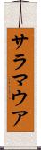 サラマウア Scroll