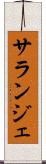 サランジェ Scroll