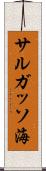サルガッソ海 Scroll