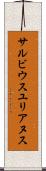 サルビウスユリアヌス Scroll