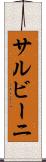 サルビーニ Scroll