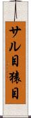 サル目 Scroll