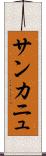 サンカニュ Scroll