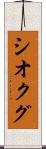 シオクグ Scroll