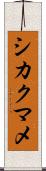 シカクマメ Scroll