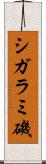 シガラミ磯 Scroll