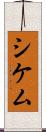 シケム Scroll