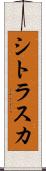 シトラスカ Scroll