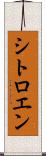 シトロエン Scroll