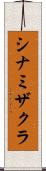 シナミザクラ Scroll