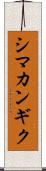 シマカンギク Scroll