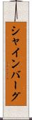 シャインバーグ Scroll