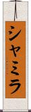 Shamila Scroll