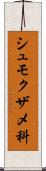 シュモクザメ科 Scroll