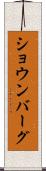 ショウンバーグ Scroll