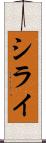 シライ Scroll