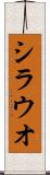 シラウオ Scroll