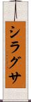 シラグサ Scroll