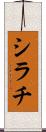 シラチ Scroll