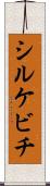 シルケビチ Scroll