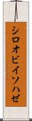 シロオビイソハゼ Scroll