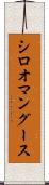 シロオマングース Scroll
