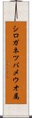 シロガネツバメウオ属 Scroll