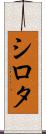 シロタ Scroll