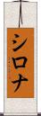 Shirona Scroll